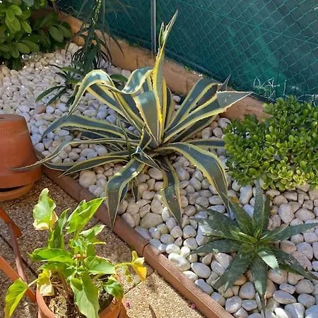 Appartamento Charmant Studio Costebelle Proche Gare, Terrasse Et Parking Gratuit Hyères